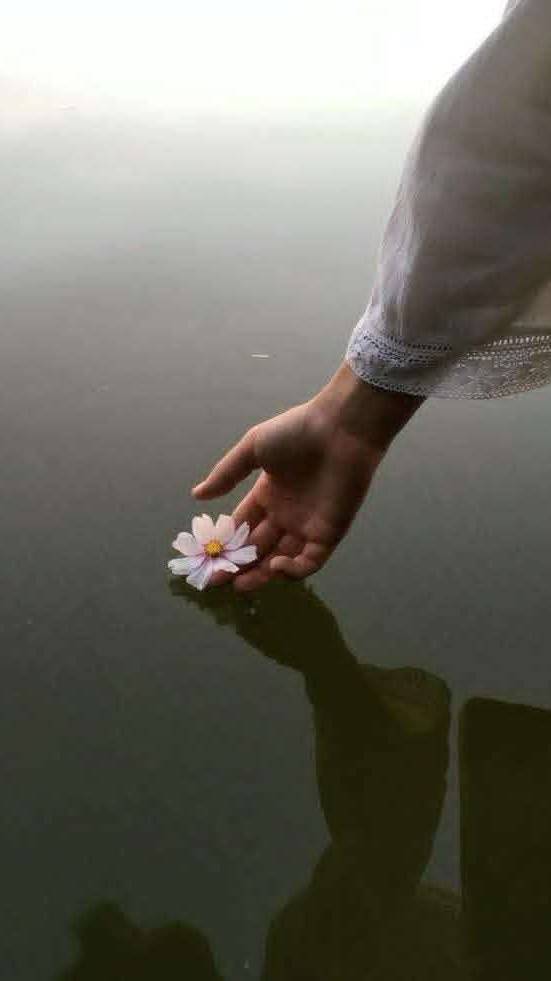 showtalent/images/He who plants roses will find them.jpg